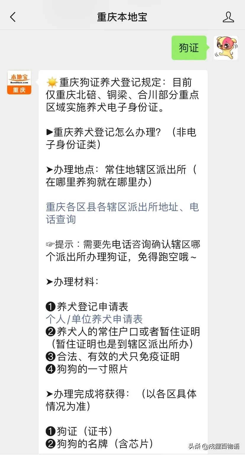 养狗人注意!这条规定与你息息相关