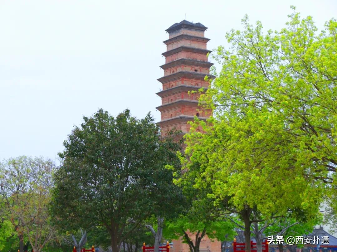蒲城，我去过最好吃的城市