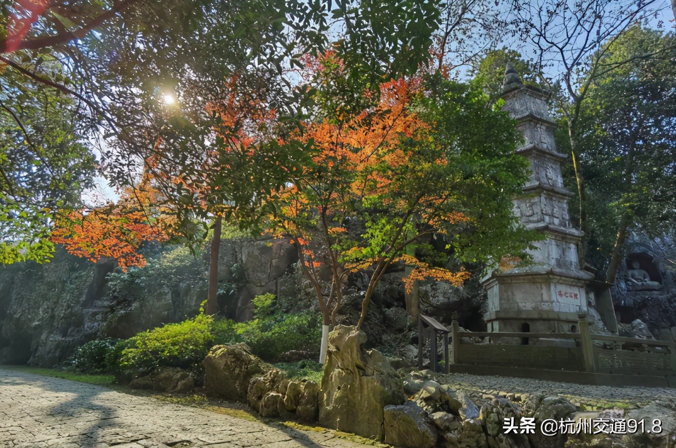 杭州人注意：春节假期去这些地方玩，要提前预约