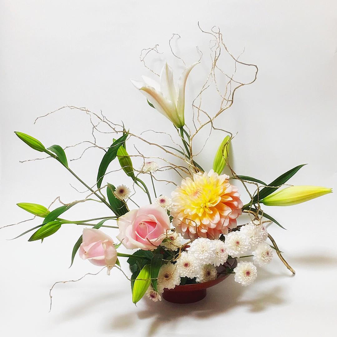 百合这样插花!撞色时尚,清新脱俗,反差萌拉满