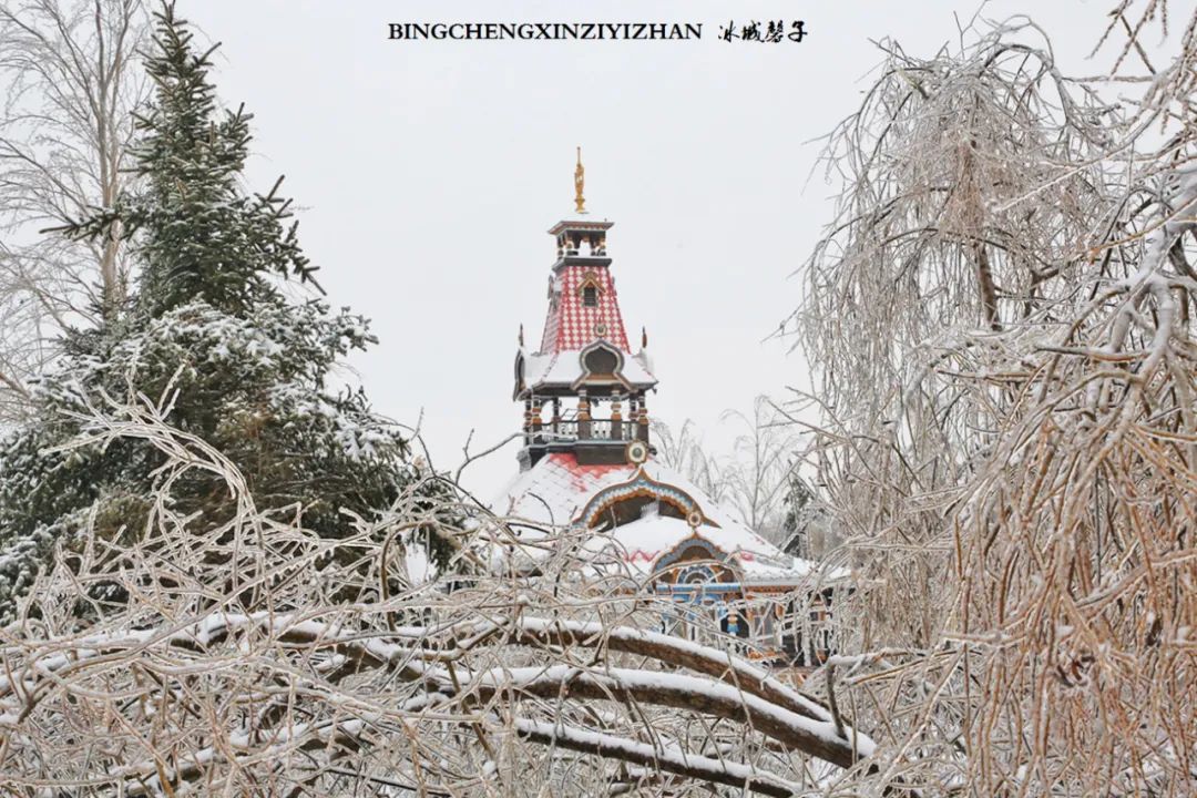 冰城暴雪冻雨之时，却让哈尔滨成为冬的水墨画卷