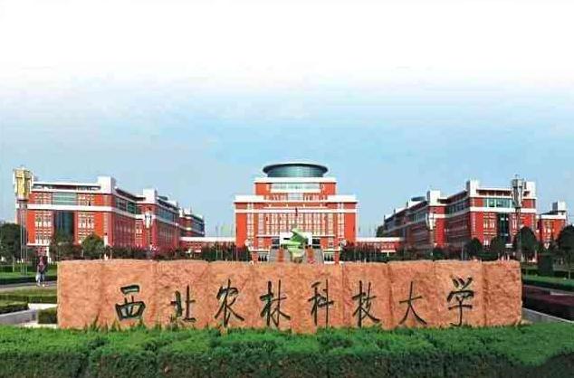 陕西省高校排名出炉，西安交大居于榜首，西北大学实至名归