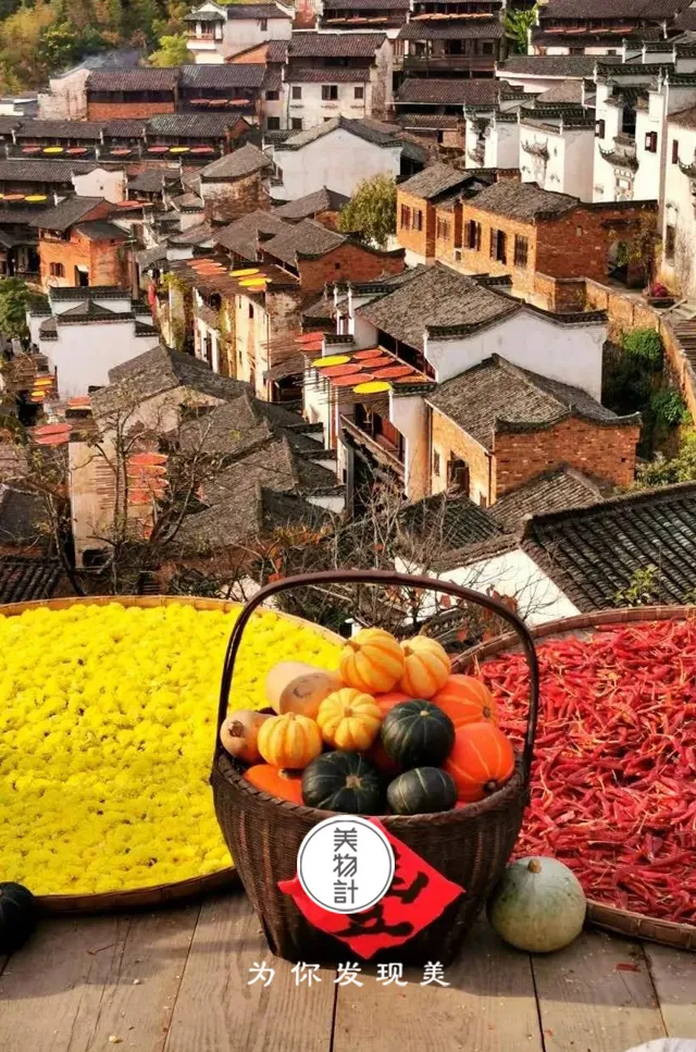 烈日炙烤大地，晒秋时节，果蔬铺满庭院，热浪翻滚如金黄潮汐。