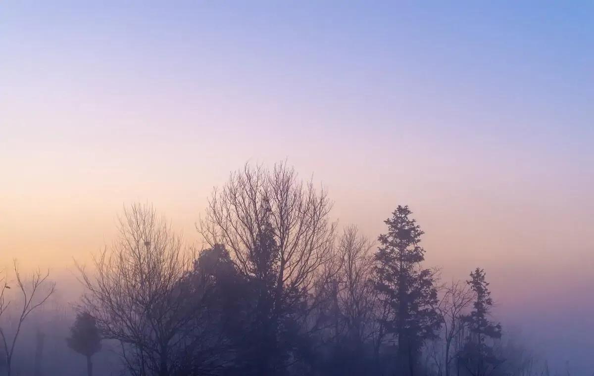 沉默的人，大多都是城府极深的“狠人”