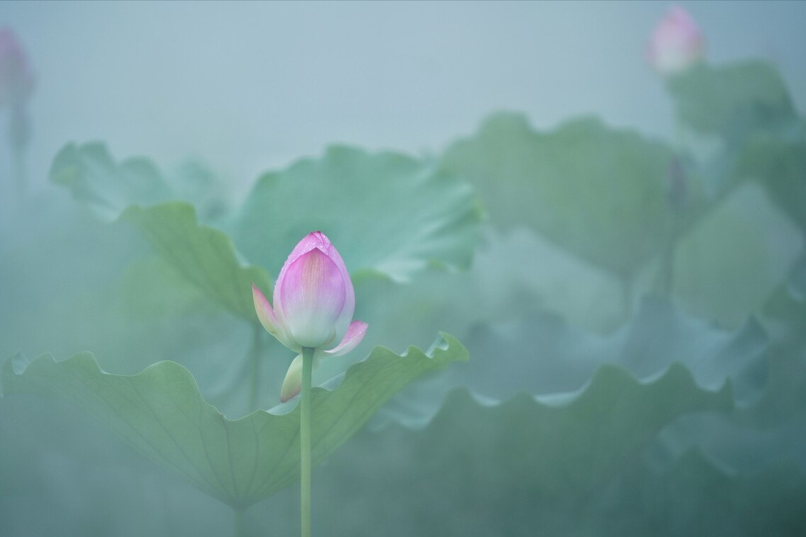 此生有你，胜过万千风景