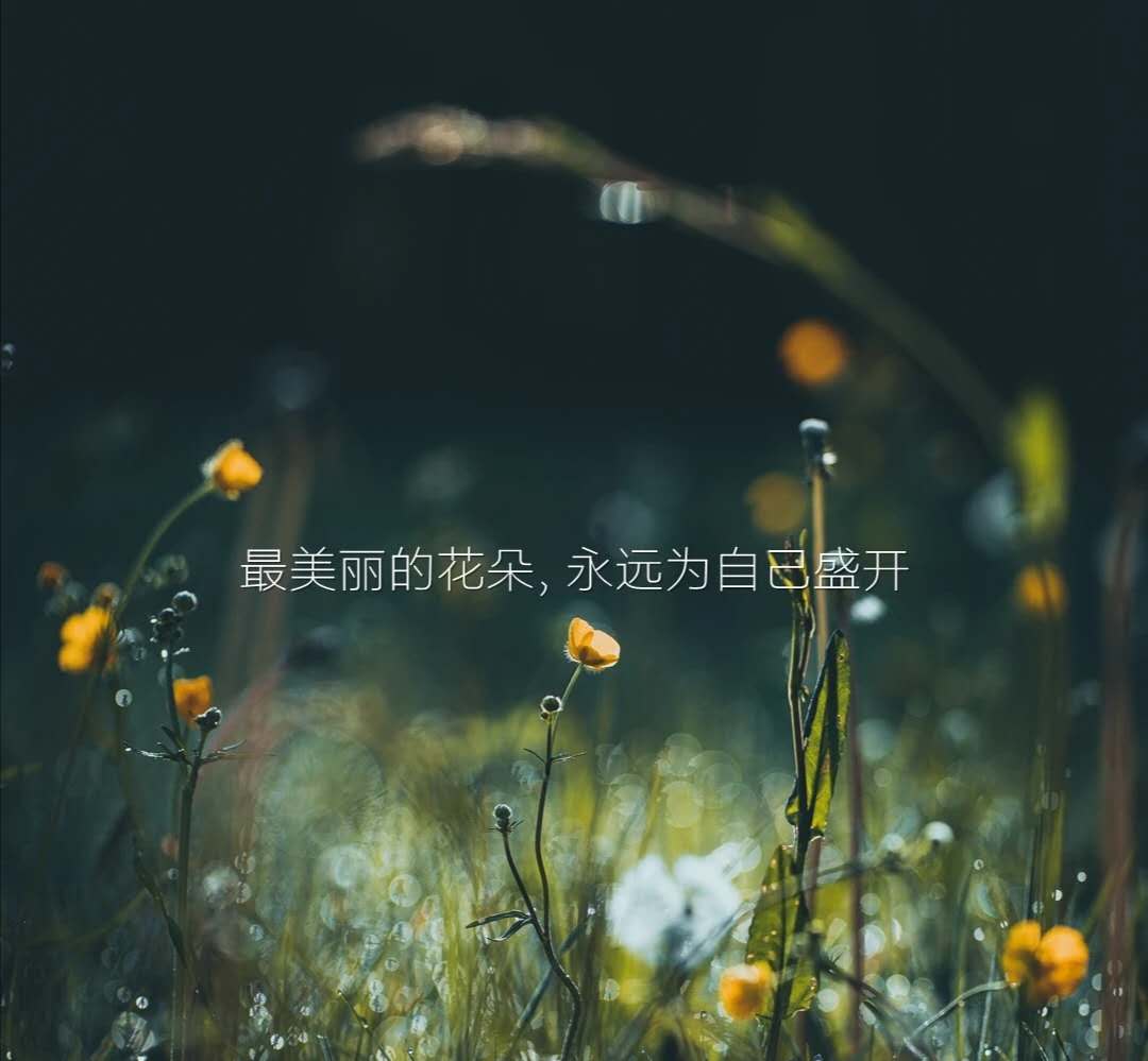 酒店特许经营加盟合同书