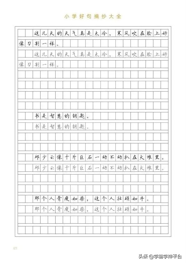 小学生好句摘抄。练字又学句