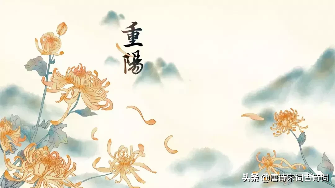 秋风送爽，金菊傲霜开放，五彩斑斓如云霞般绚丽。细赏花瓣层层叠叠、饱满丰盈，仿佛大自然最美的诗篇；清雅之香弥漫周身，令人神清气爽，流连忘返。赞其孤高不屈，纵使寒意侵袭亦能绽放出无尽美丽与芬芳。