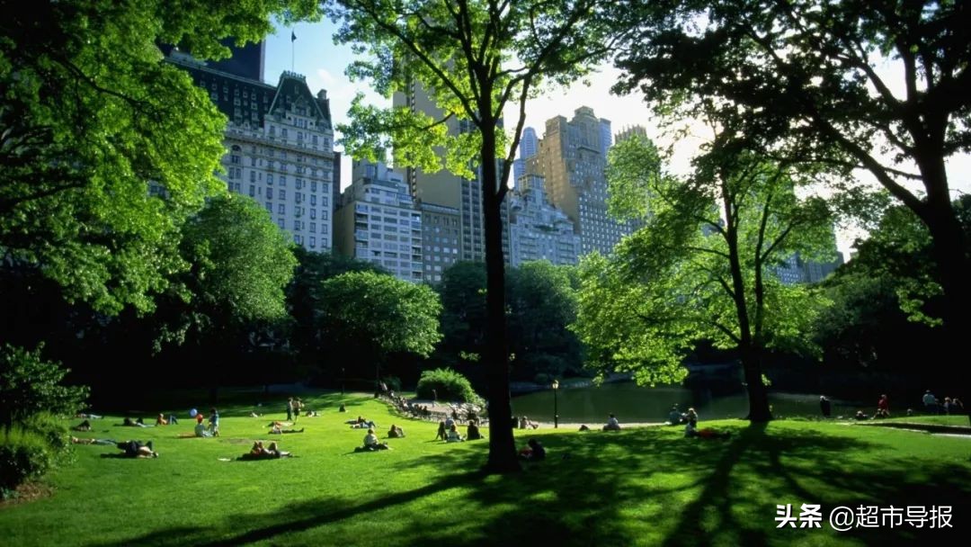 零售洞察｜如果不在公园旁，就把公园搬进购物中心