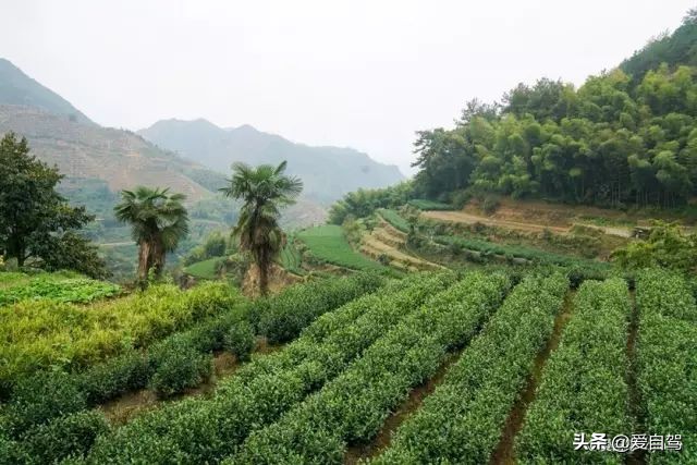 丽水的这座宝藏小县城，隐秘于浙西南的世外桃源