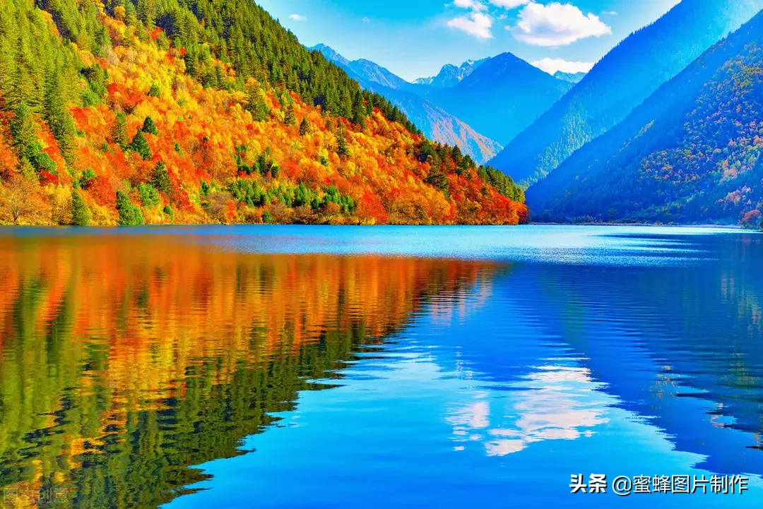 微信头像壁纸，秋天的气息