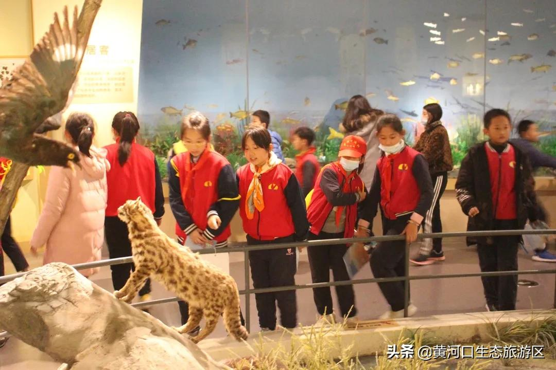 【黄河口生态旅游区】冬日暖阳 静享时光