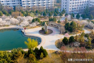 2020年山东省淄博市山东理工大学成人高考招生简章