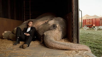 《大象的眼泪》：马戏团兽医爱上老板娘，为获幸福，指使大象杀人