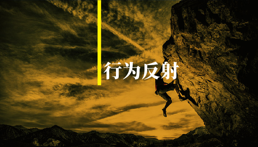 介绍他人时的自然反应：语言与行为如何反映社交默契与心理状态