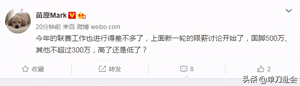 国脚年薪最多减到500万人民币(曝足协讨论限薪：国脚年薪再减700万，每天仅赚1.4万人民币)