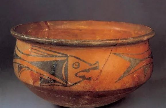 新说文解字第三季 | 动物篇01——“鱼”