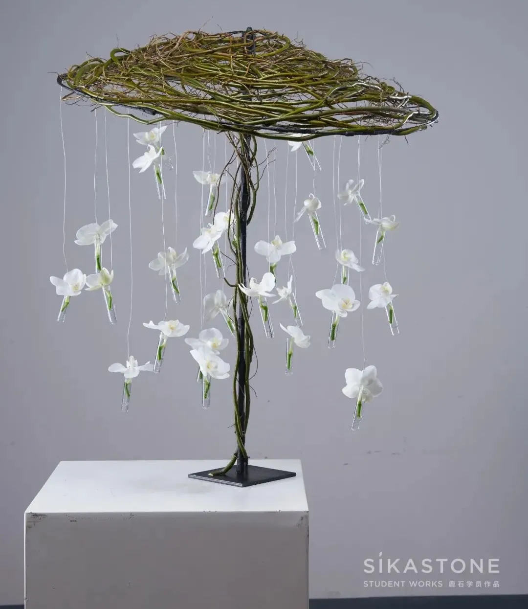 比利时花艺大师课堂正式毕业