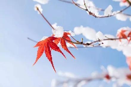 俗语“雨里夫妻泪交流，雪里夫妻不到头”，难道雨雪天结婚不好？