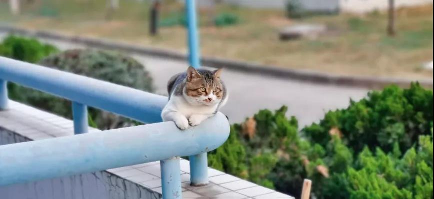 滴！返校行动指南，请查收