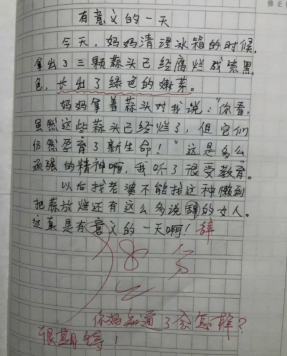 小學生“滿分作文”走紅，老師看完笑出眼淚，爸爸：家丑不可外揚