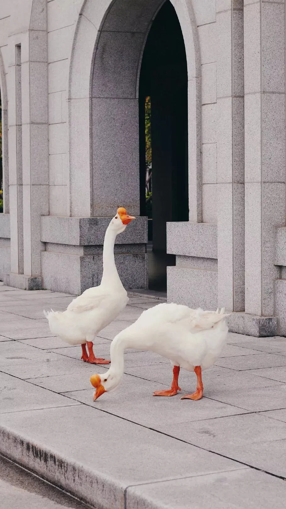 中国这10所大学壁纸第二期！厦门大学、中山大学等在列