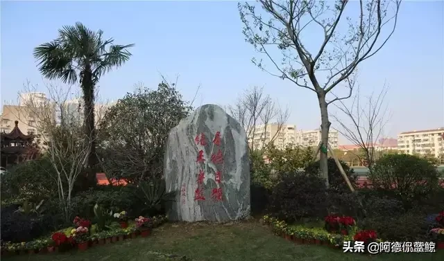 南京这十四所高中获2019高考突出贡献奖