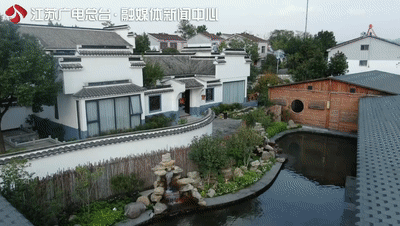 美了1500年，这里的古银杏即将迎来颜值巅峰