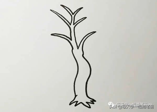 每天学一幅简笔画--柳树简笔画彩色画法步骤