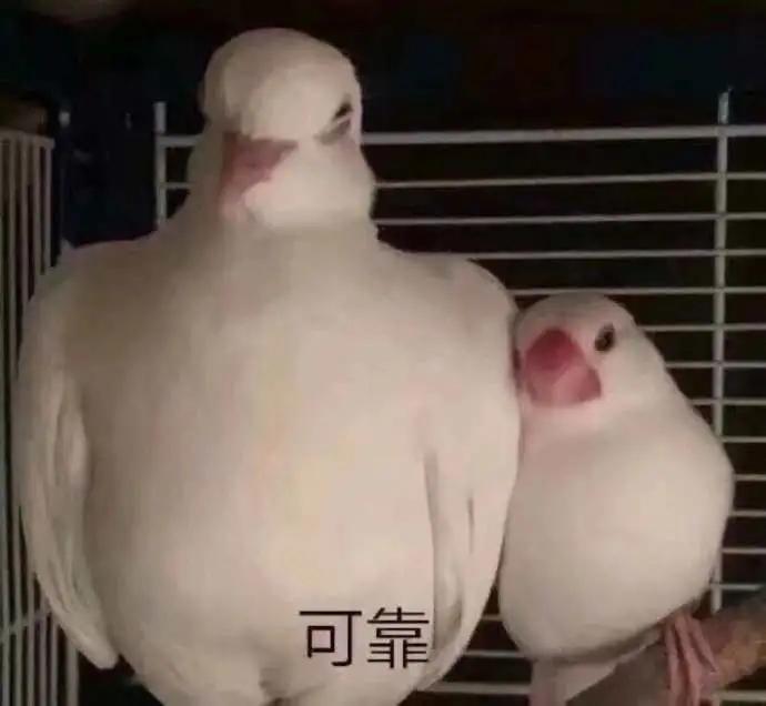 赶紧查一查！你的化妆品早就过期了
