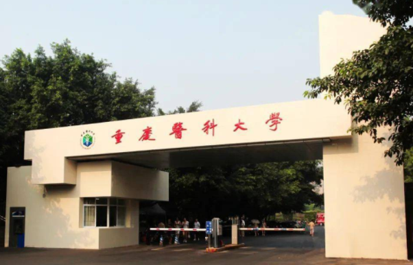 专科生到底算不算大学生？教育部门做出回答，大家看法不一样