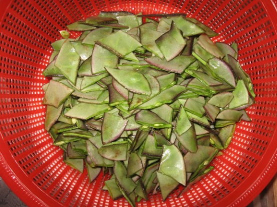 7月经常下雨湿气大,吃梅豆角时令菜,消暑清热又美味,全家爱吃