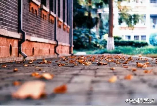 时光荏苒岁月如流转眼又是一年春华秋实