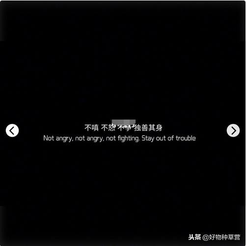 「适合一月置顶的说说」新年新气象 激励自己拥抱更好的新生活！