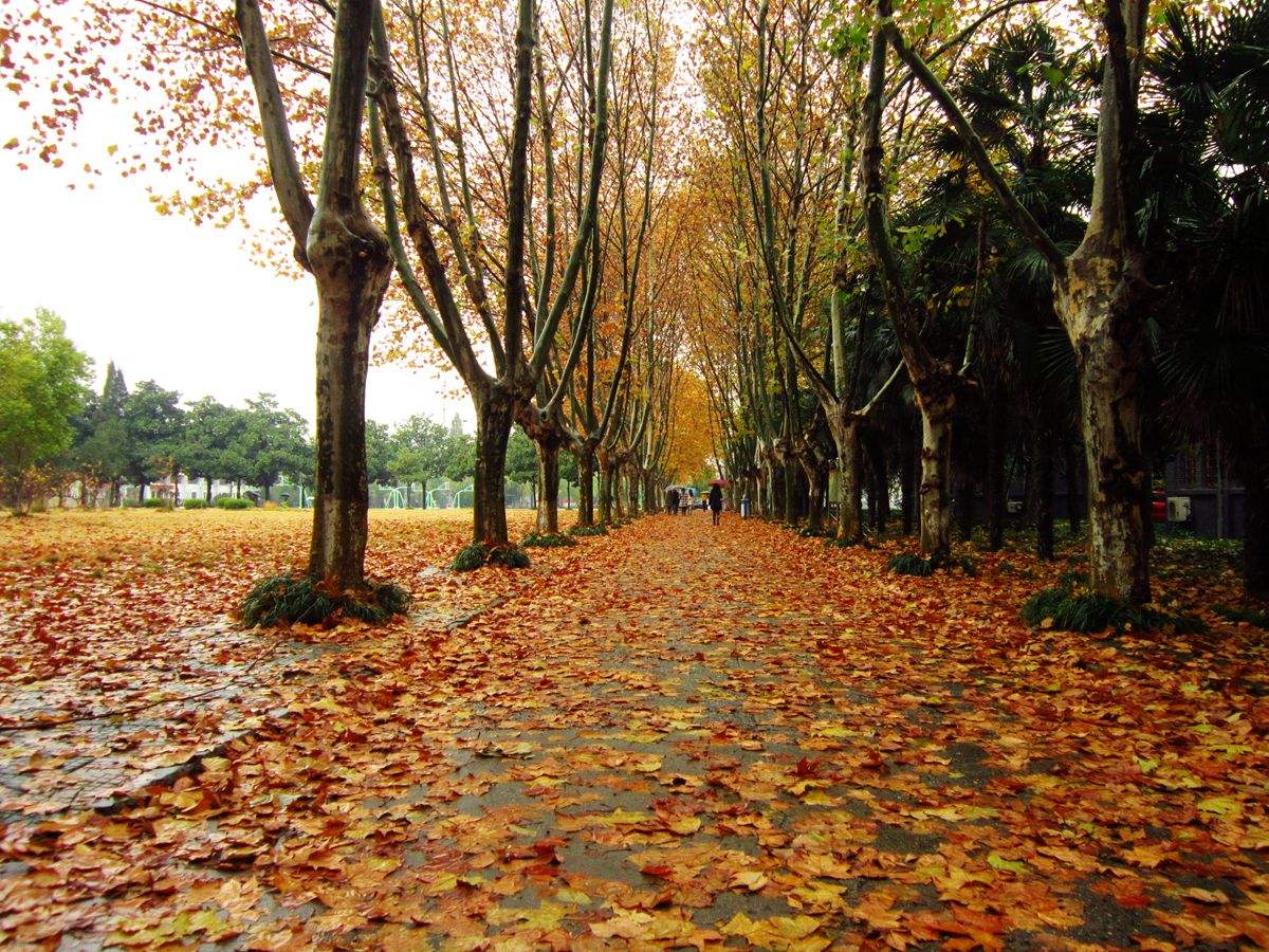 复试倒数第二逆袭！我的扬州大学中国古代文学专业考研经验