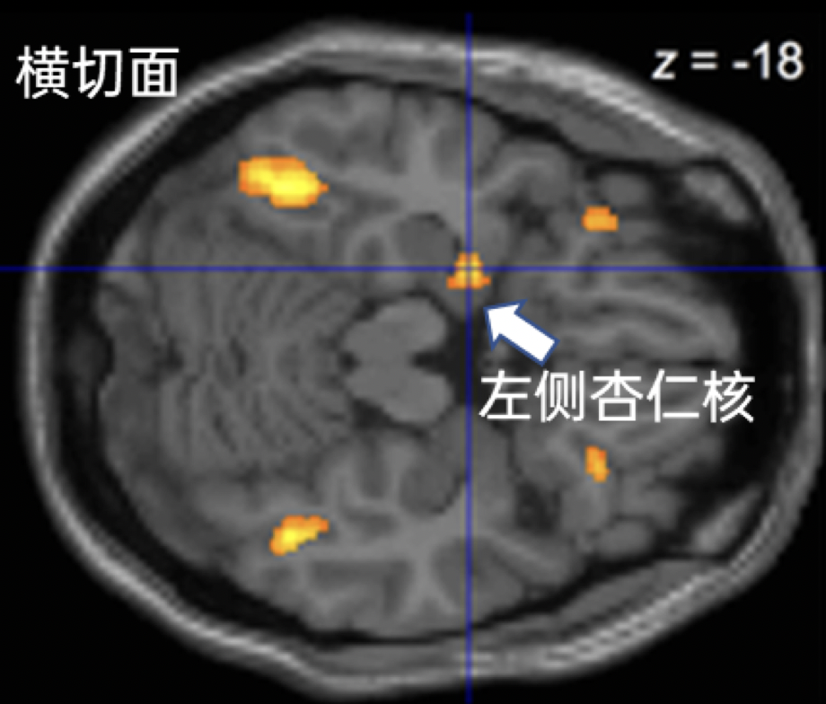 都是看《哈利·波特》，你在刷电影玩游戏，有人发了3篇大脑论文