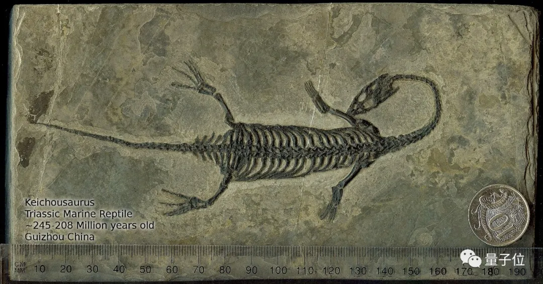 她是北大“一个人的毕业照”主角，古生物专业，十年后搞起了AI