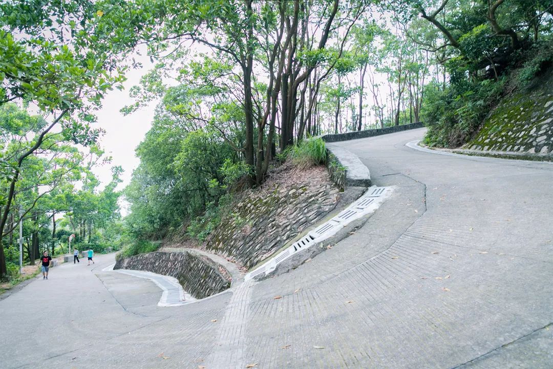 深圳值得征服的10座山，你去过几座？