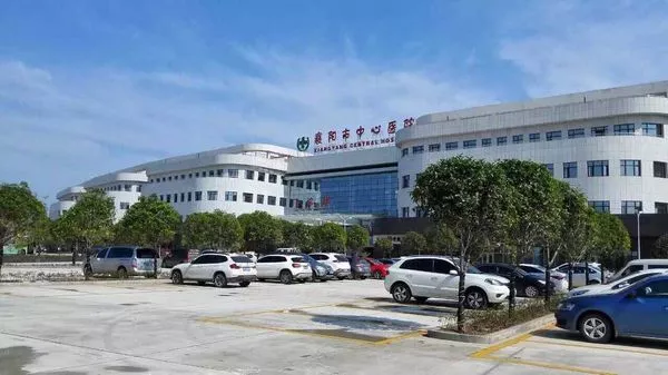 [湖北] 襄阳市中心医院，2020年招聘医师、技师、药师等65人公告
