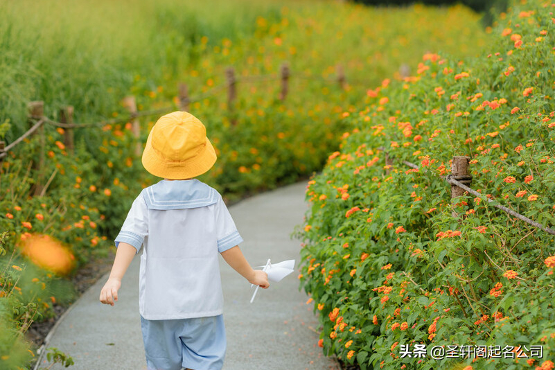 2021年宝宝取名 独特百搭，福气自来的牛宝宝名字大全