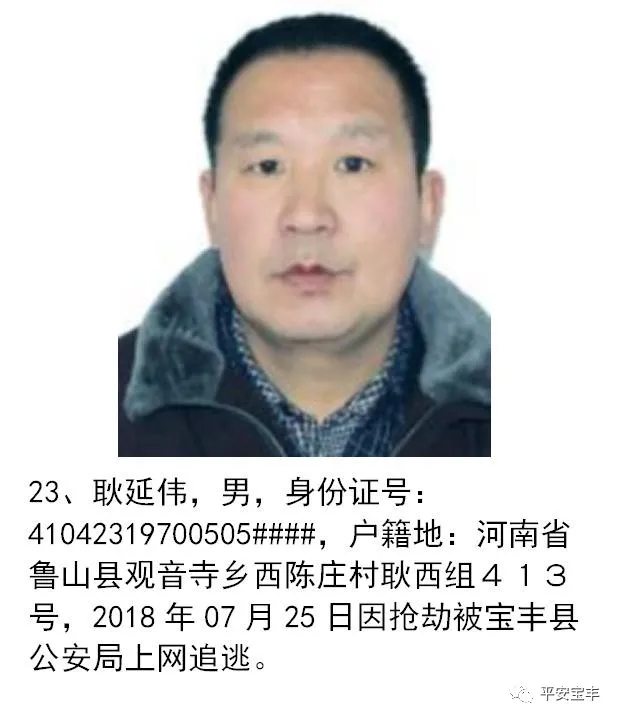 网上逃犯,网上逃犯名单查询系统