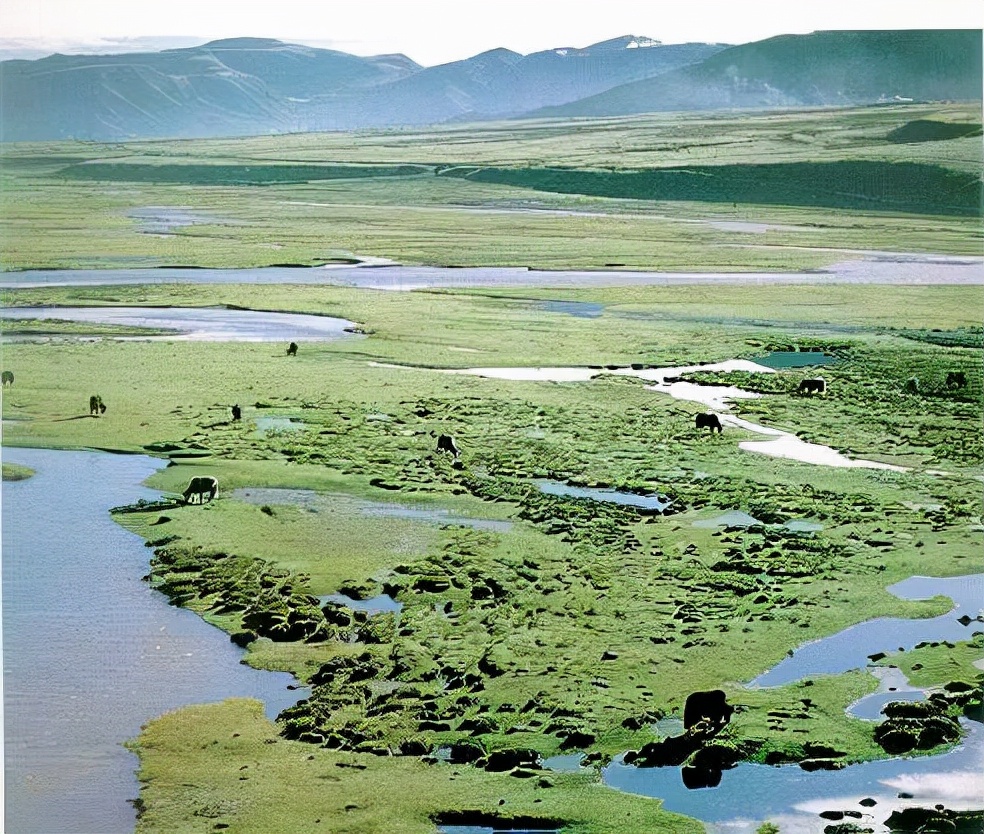 长白山天池每年8000万吨水来历不明，专家称来自青藏高原，啥情况