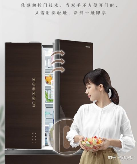2021高端冰箱攻略卡萨帝、日立、东芝、西门子等品牌冰箱选购推荐