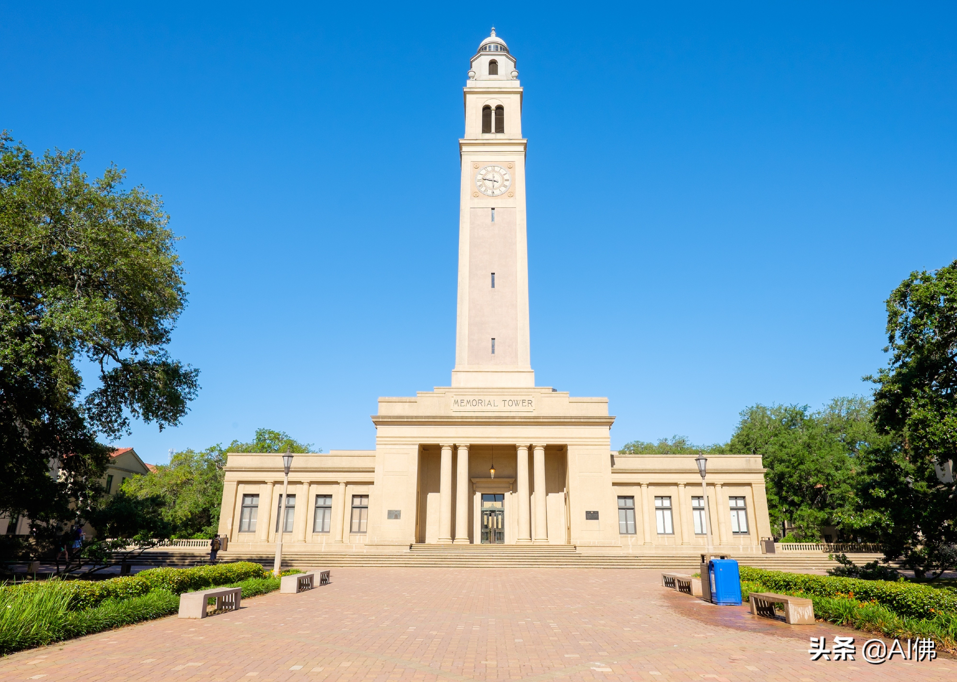 美国每个州ROI最高的公立大学