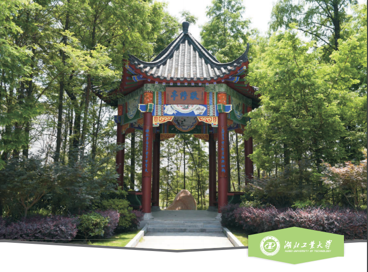 原来武汉这所大学遍地是