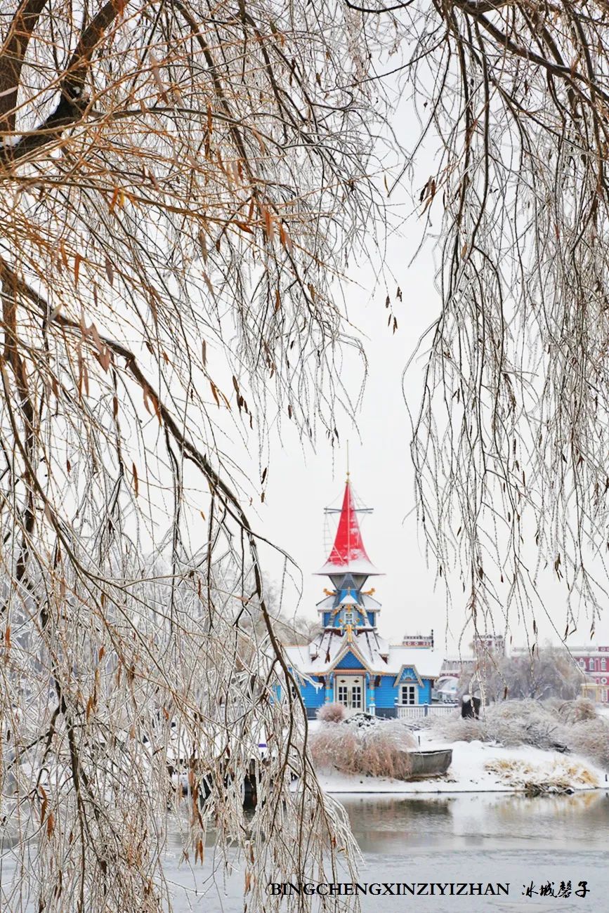 冰城暴雪冻雨之时，却让哈尔滨成为冬的水墨画卷