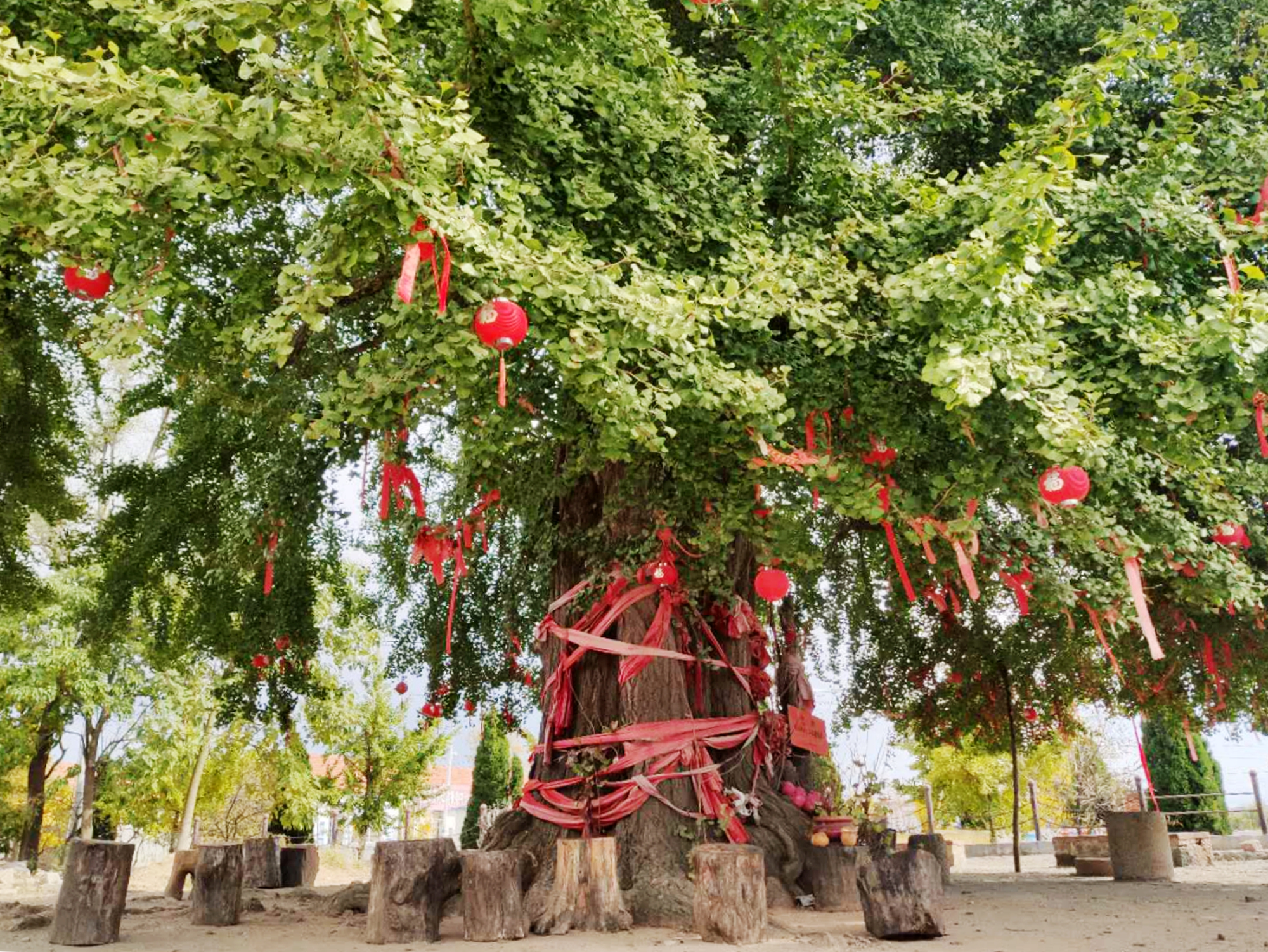 十里古乡，一袭汉服，惊艳了时光，也温柔了岁月