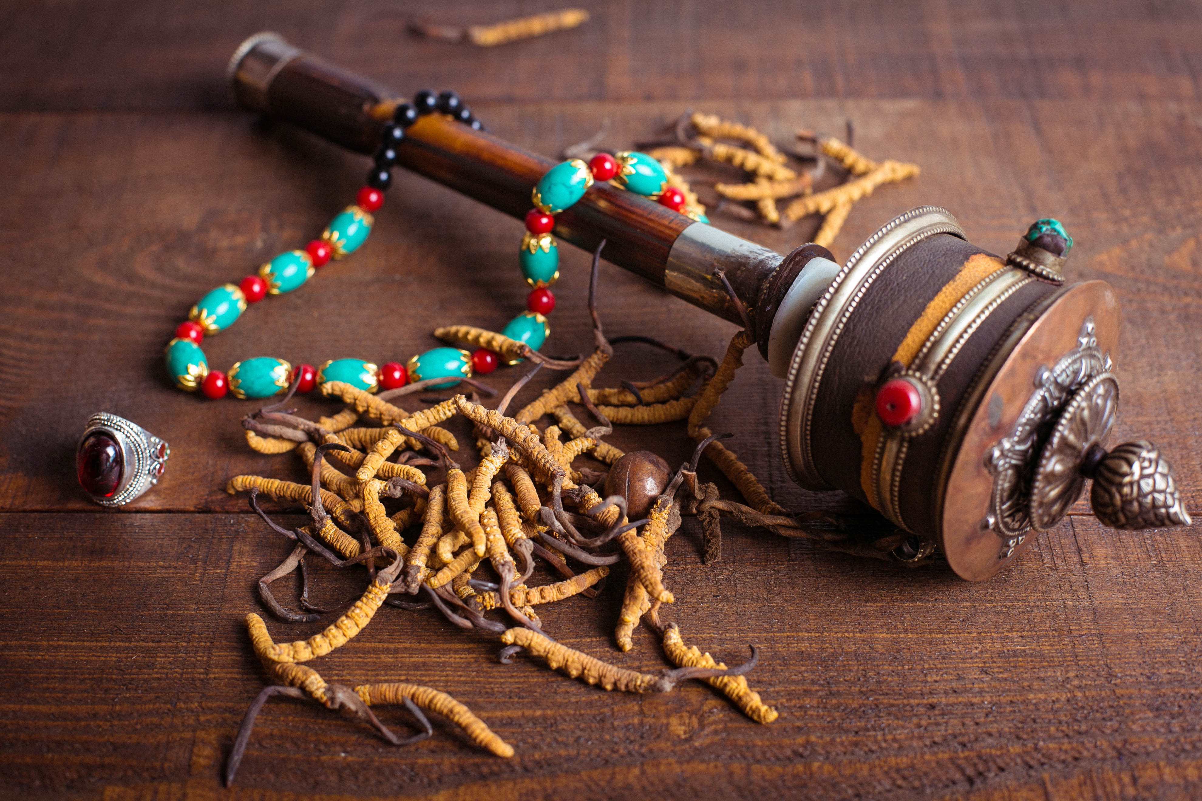 冬虫夏草不便宜，买回家要“正确保存”，价值高成分不受影响