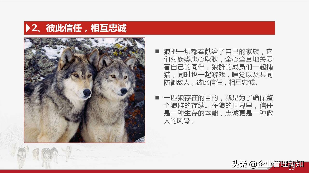 33页完整版，狼性文化与企业精神培训PPT，可直接用于员工培训