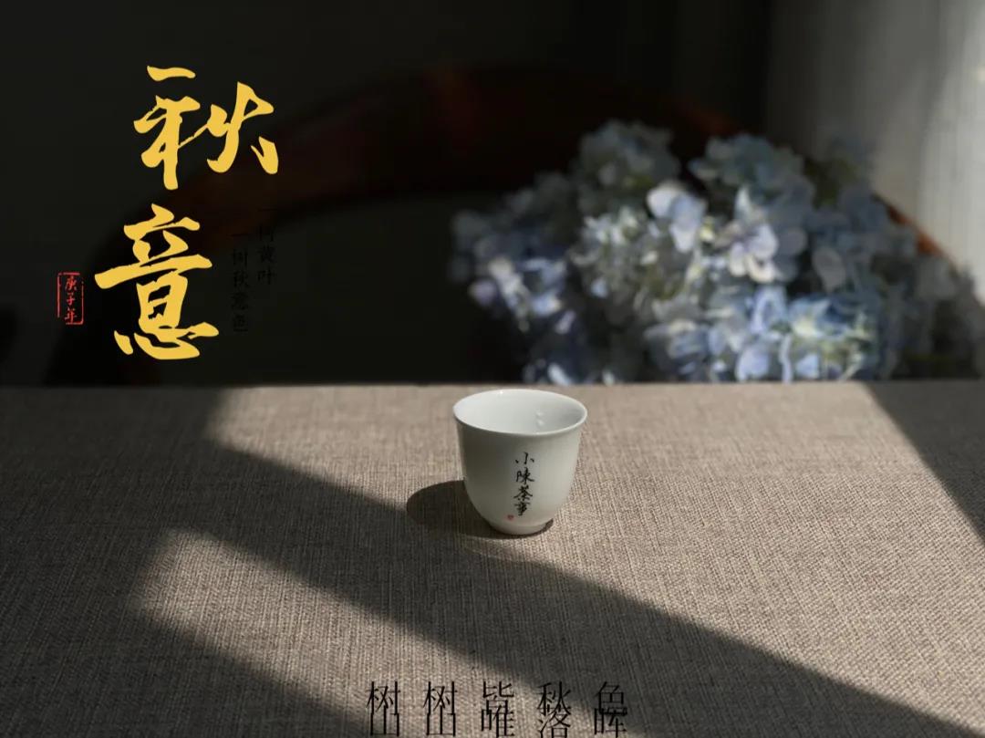 新手第一次买白茶，选什么比较好？白毫银针、白牡丹还是寿眉？